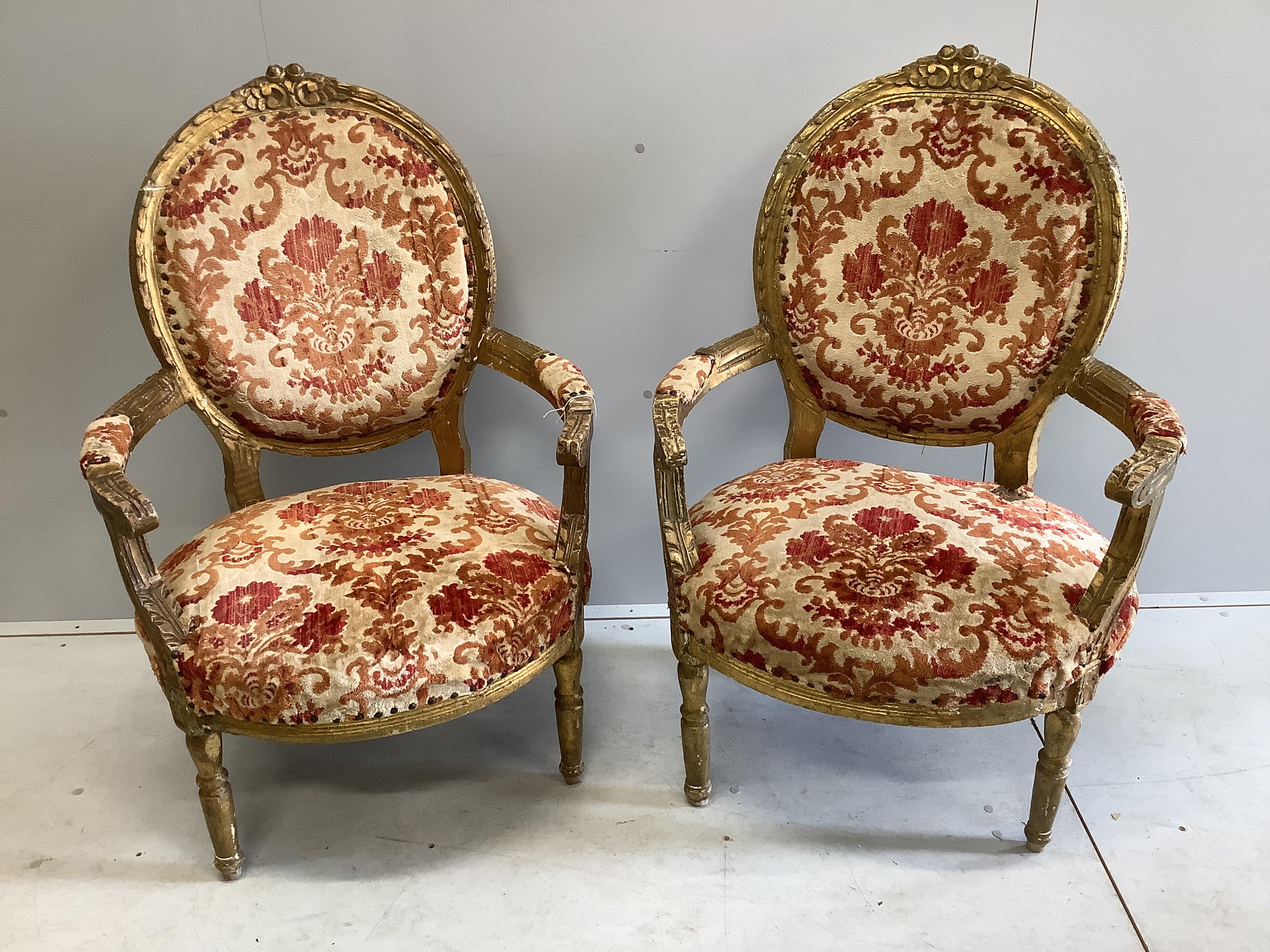 A pair of Louis XVI style giltwood and composition tub framed open armchairs, width 70cm, depth 60cm, height 105cm